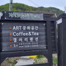 장찬리소나무갤러리 이미지