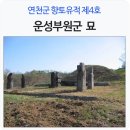 운성부원군 묘 네이버블로그