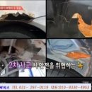 문화부분정비공업사 이미지