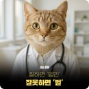 의료법인 효민의료재단 큰사랑병원 | 병원 마케팅, 잘하면 &#39;법인&#39; 잘못하면 &#39;벌&#39;