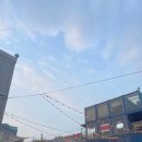(주)성수피글렛 | 어른이 마켓+플라워노즈 팝업 후기 (처음으로 길게 쓰는 블챌)