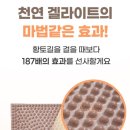 파인테라