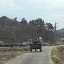 멍뭉이 밥상 | 양양 한옥 펜션 [청종힐링숲] 양양 숙소추천 산나물채취가능