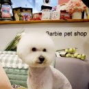 바비펫샵 이미지
