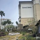 6827 | 제주 함덕 카페 | 보라지붕 솔직후기 | 내돈내산