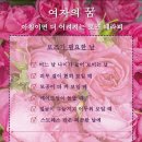 코코로즈 네이버블로그