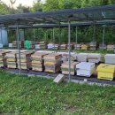 키다리농장 이미지