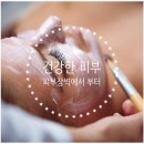 피부 장벽 균형의 비밀 : 에스테틱 전문가가 알려주는 홈 케어 방법