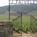 [프랑스 부르고뉴/ 레드] Faiveley Bourgogne Pinot Noir / 페블레 부르고뉴 피노누아 (2019.3 시음) 이미지