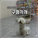 단골가개 | 춘천애견용품 24시간 무인매장 : &#39;구멍가개&#39; 방문 후기