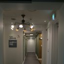 지노메디 이미지