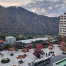 소노문 단양 1층 이미지