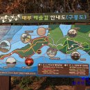 솔밭 1994 티스토리