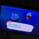 5월 회고