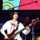 마젠타 이미지