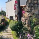 샤인히얼60 이미지