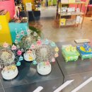 비바 노래연습장 이미지