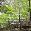 대마도 슈시강 단풍길 여름 방문후기