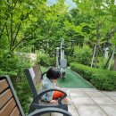 서울창천초등학교 | [부동산] 마포그랑자이에 살아보니 의외였던 점