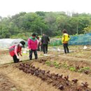 구로-구로-구로-740 디지털타임스