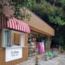 천지연사우나 | 제주도여행/ 성산일출봉뷰 <광치기해변> &amp; <비자림> &amp; <메이즈랜드> 후기❤️