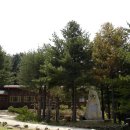 청태산자연휴양림 이미지