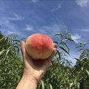 장택농장 이미지