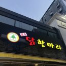 정솔 | 영등포 맛집 정솔 닭한마리 영등포신관 솔직후기