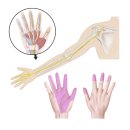 주엽소나무한의원 이미지