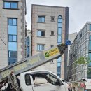 대일견인 이미지