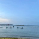 경수니네 이미지