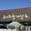 너와함개냥 | 포천 유기견카페 너와함개냥 | 내돈내산 입양카페후기(주차/봉사/굿즈)