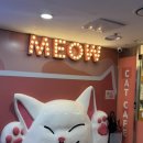 고양이마을 | 잠실 이색데이트 추천ㅣ길고양이마을 잠실점 고양이카페 후기