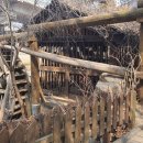 숲속쉼터옆 이미지