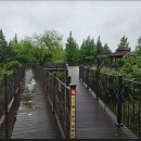 ♤ 제62차08월23일 보령 청천호 트레킹 ♤ 이미지
