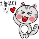 파니아토 이미지