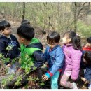 월문초등학교(병설) 이미지