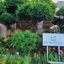 베이브리즈가족호텔 이미지