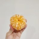 신세계농원 이미지