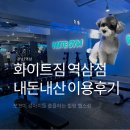 대짐(大GYM) | 헬스장에 쪼꼬미 강아지들이? 역삼 화이트짐 (WHITE GYM) 8개월 운동 다닌 후기