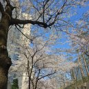 이마트24 용인강남마을점 | 용인 수지의 스테디셀러, 신봉자이1차(신봉마을 LG자이 1차) 실거주 및 투자 가치 완벽 분석