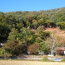 기도원 맞은편 이미지