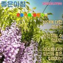 전부다 이미지