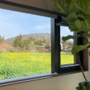 제주가옥 이미지