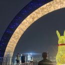 대덕문화전당 문화동 화장실 | 월요트런 | 대구 트레일런 | 앞산 트레일러닝 | 클럽위글 | 25년 9월 8일