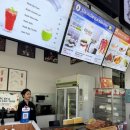 팀 크루즈 | 하노이 하롱베이 6성 돌핀크루즈 일일투어 후기 강력추천 !