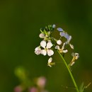 내리저수지 이미지