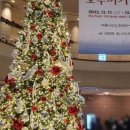 불가리아 바르나 국립발레 호두까기인형 이미지