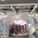 아일랜드 이미지