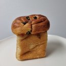 에코프로틴 이미지